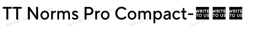 TT Norms Pro Compact字体转换